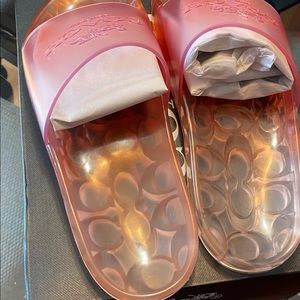 Coach Tangerine jelly shoes, size 9, never worn box included